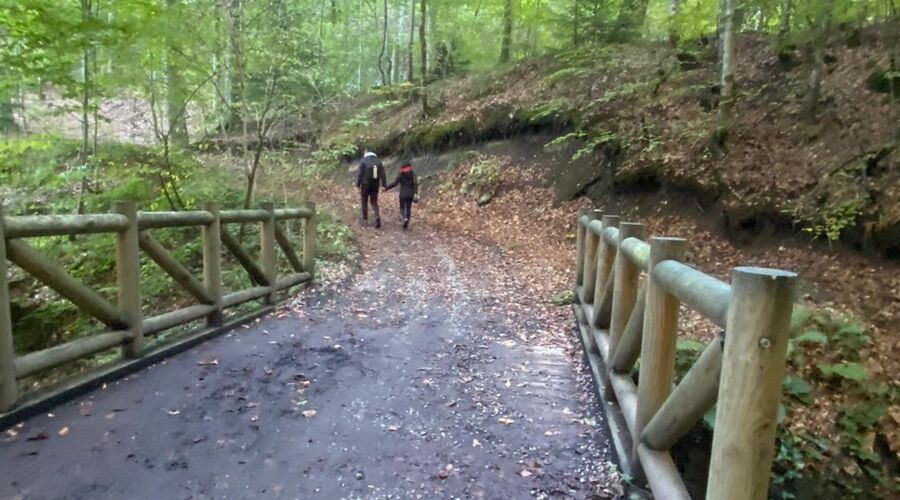 Batı Karadeniz Turu-Yedigöller Abant Gölcük Amasra Safranbolu