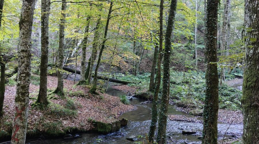 Batı Karadeniz Turu-Yedigöller Abant Gölcük Amasra Safranbolu