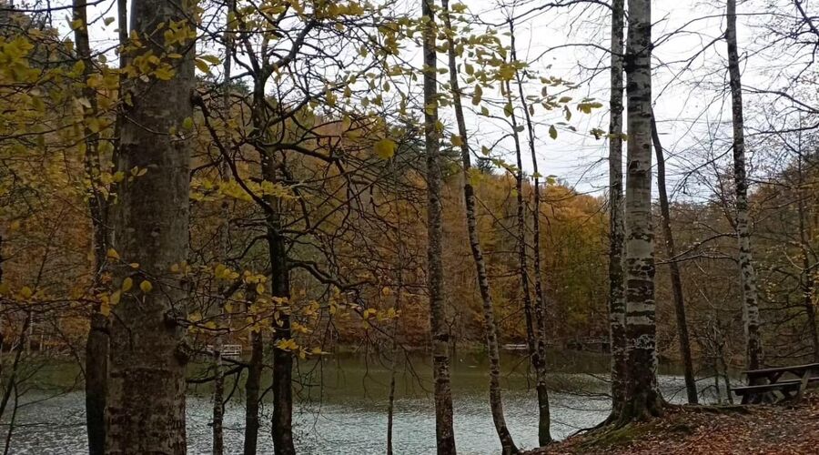 Batı Karadeniz Turu-Yedigöller Abant Gölcük Amasra Safranbolu