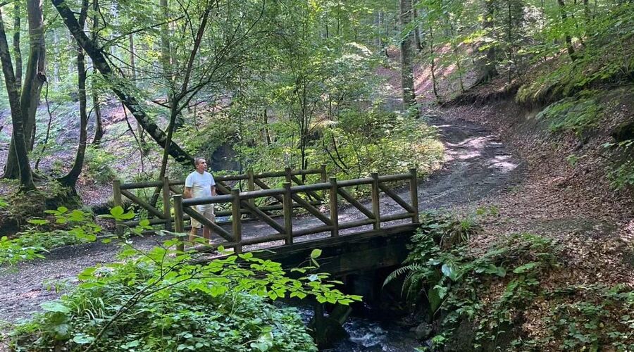 Batı Karadeniz Turu-Yedigöller Abant Gölcük Amasra Safranbolu