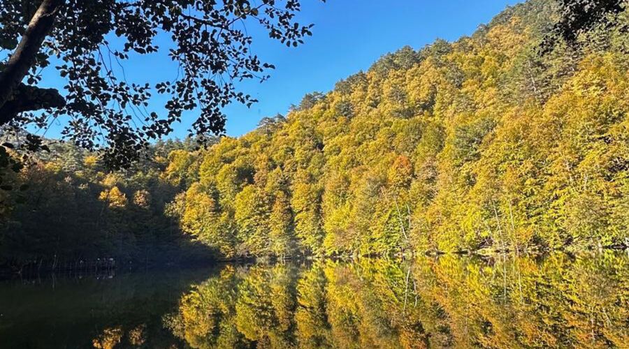 Batı Karadeniz Turu-Yedigöller Abant Gölcük Amasra Safranbolu