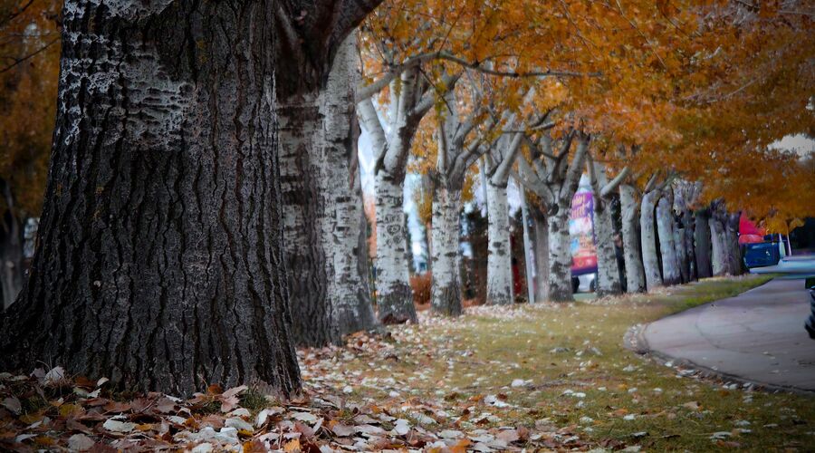 Eskişehir Turu Günübirlik Antalya Çıkışlı 