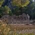 Tahtalı Teleferik Yanartaş Olympos Antik Kenti Çıralı Ulupınar Turu 