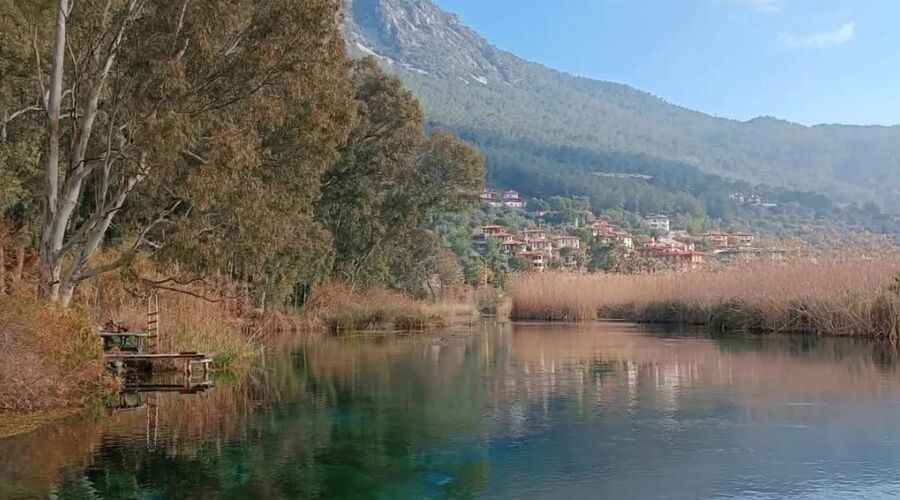 Günübirlik / Datça Badem Çiçeği Festivali Turu 