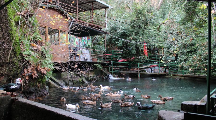 Tahtalı Teleferik Yanartaş Olympos Antik Kenti Çıralı Ulupınar Turu 