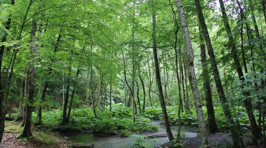 Batı Karadeniz Turu-Yedigöller Abant Gölcük Amasra Safranbolu