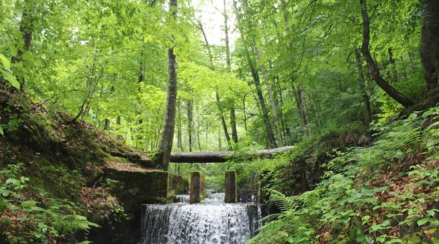 Batı Karadeniz Turu-Yedigöller Abant Gölcük Amasra Safranbolu