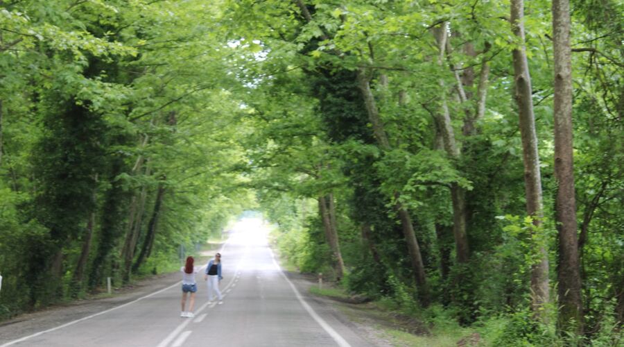 Batı Karadeniz Turu-Yedigöller Abant Gölcük Amasra Safranbolu