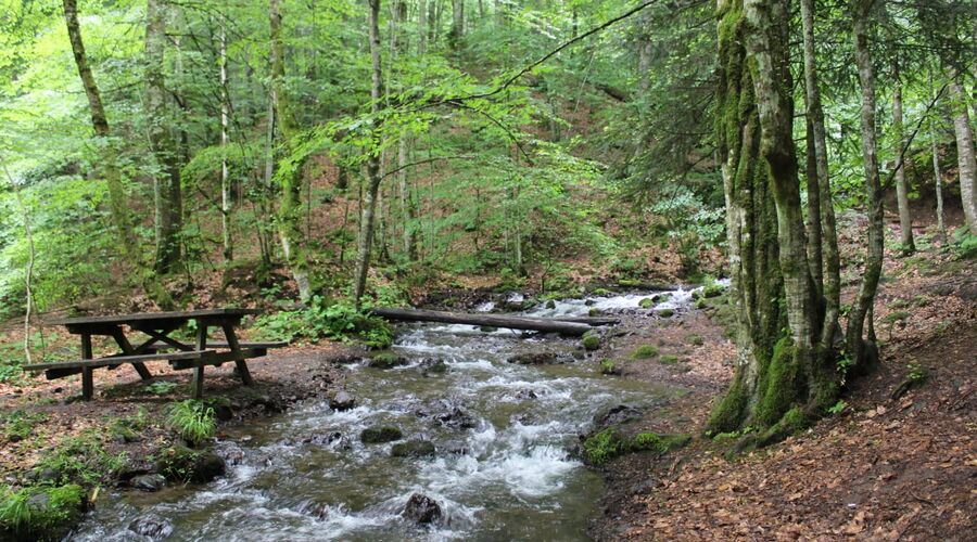 Yedigöller Abant Gölcük Amasra Safranbolu- Batı Karadeniz Turu Antalya  Çıkışlı 