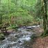 Batı Karadeniz Turu-Yedigöller Abant Gölcük Amasra Safranbolu
