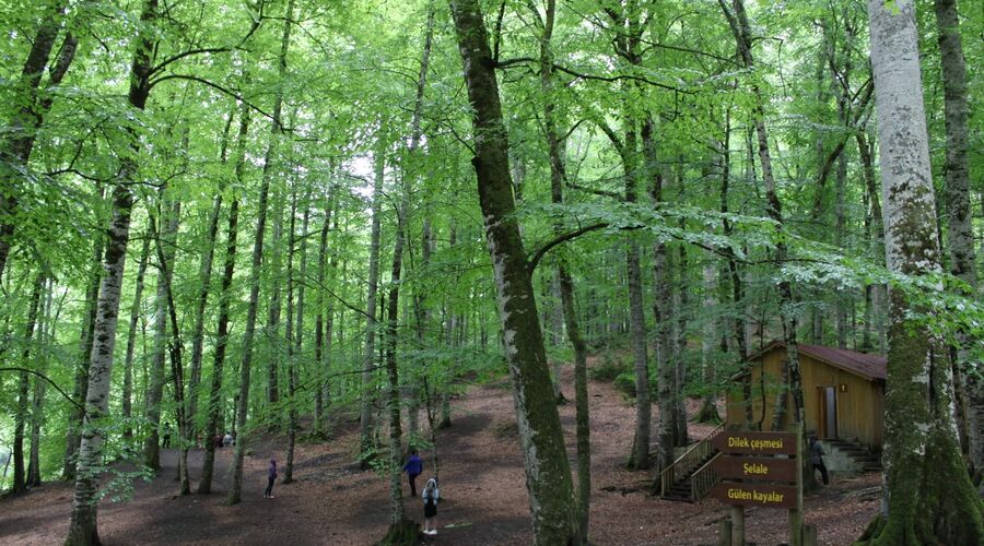 Yedigöller Abant Gölcük Amasra Safranbolu- Batı Karadeniz Turu Antalya  Çıkışlı 