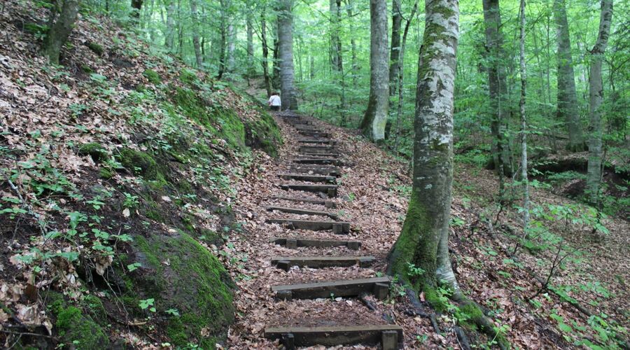 Batı Karadeniz Turu-Yedigöller Abant Gölcük Amasra Safranbolu