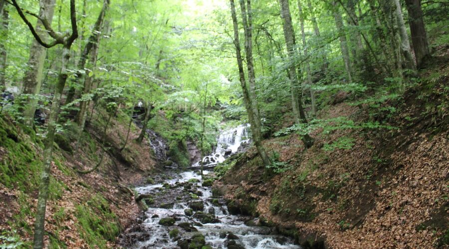 Batı Karadeniz Turu-Yedigöller Abant Gölcük Amasra Safranbolu