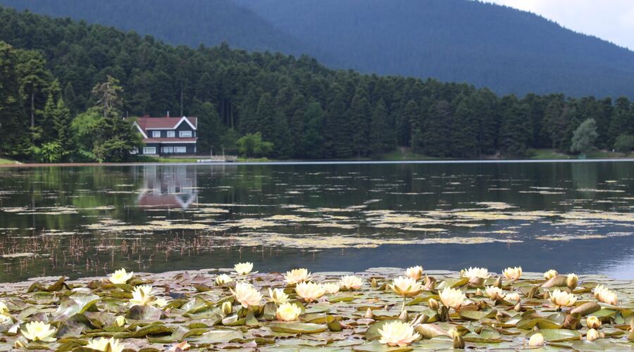 Batı Karadeniz Turu-Yedigöller Abant Gölcük Amasra Safranbolu