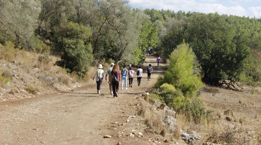 Kral Havuzu Uçansu Şelaleleri  Doğa Yürüyüşü  