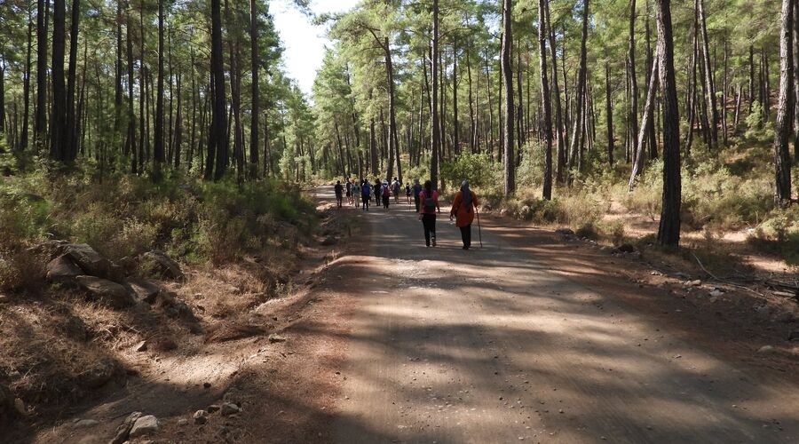 Kral Havuzu Uçansu Şelaleleri  Doğa Yürüyüşü  