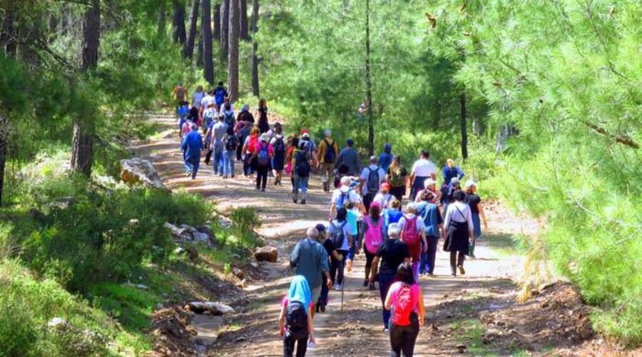 Kral Havuzu Uçansu Şelaleleri  Doğa Yürüyüşü  
