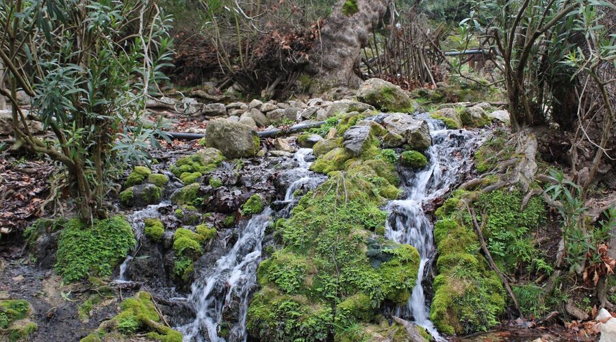Kral Havuzu Uçansu Şelaleleri  Doğa Yürüyüşü  