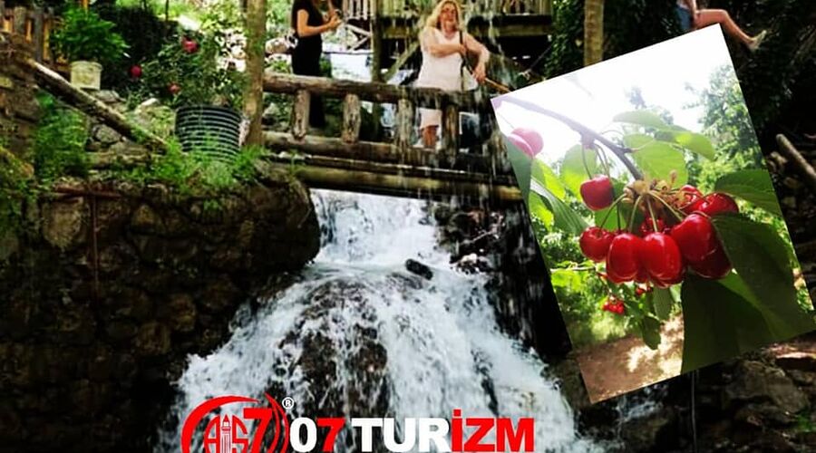 Dalından Kiraz Toplama Burmahan Alabalık Çiftliği Tazı Kanyonu Köprülü Kanyon Turu