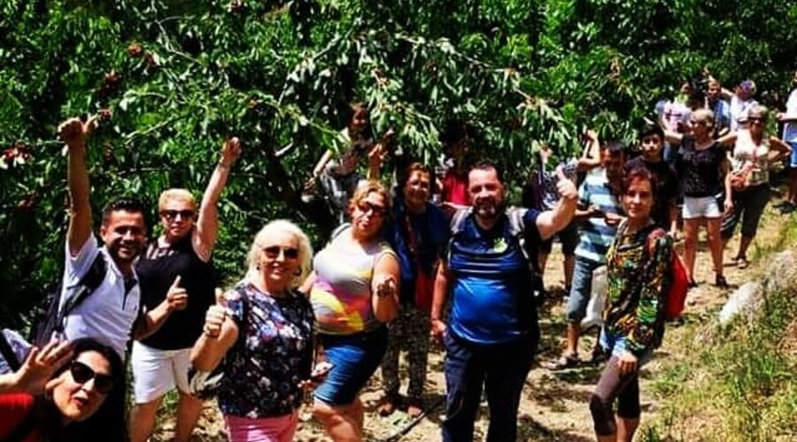 Dalından Kiraz Toplama Burmahan Alabalık Çiftliği Tazı Kanyonu Köprülü Kanyon Turu