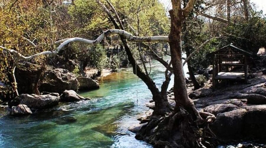 Dalından Kiraz Toplama Burmahan Alabalık Çiftliği Tazı Kanyonu Köprülü Kanyon Turu