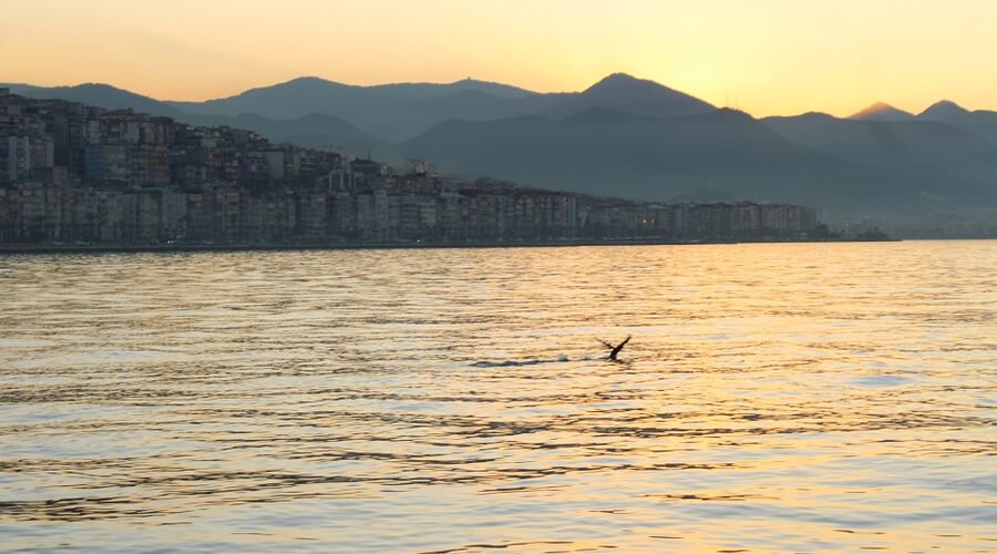 İzmir Foça Kozbeyli Turu  Antalya Çıkışlı Günübirlik  