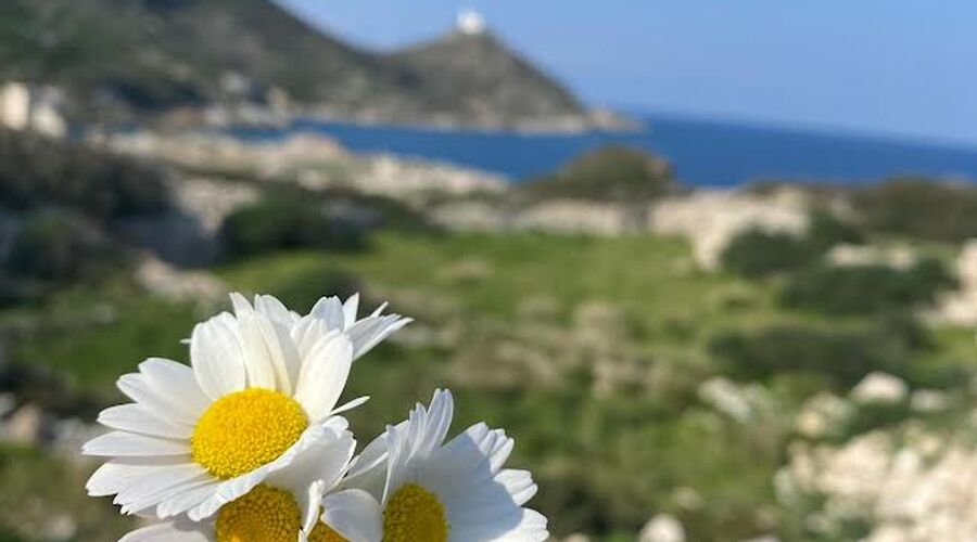 Datça-Knidos- Akyaka- Dalyan Turu