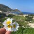 Datça-Knidos- Akyaka- Dalyan Turu