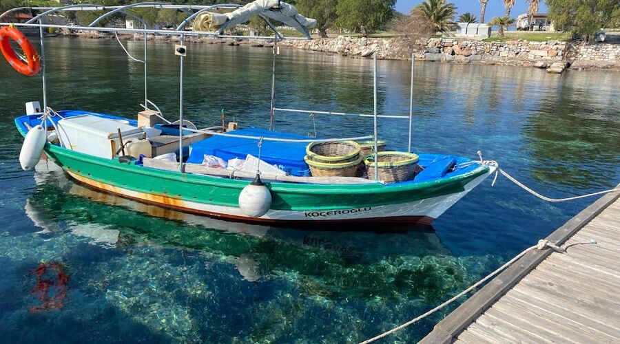 Datça-Knidos- Akyaka- Dalyan Turu
