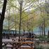 Yazılı Kanyon Sagalassos Kovada Gölü Eğirdir Turu- Antalya Çıkışlı Günübirlik 