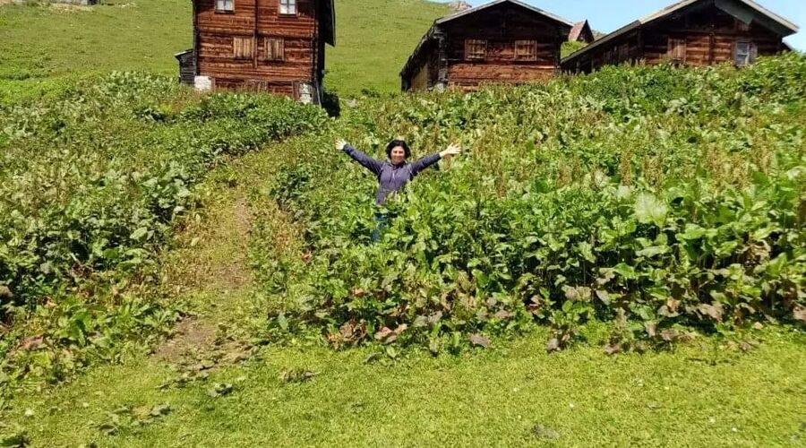 Doğu Karadeniz Turu